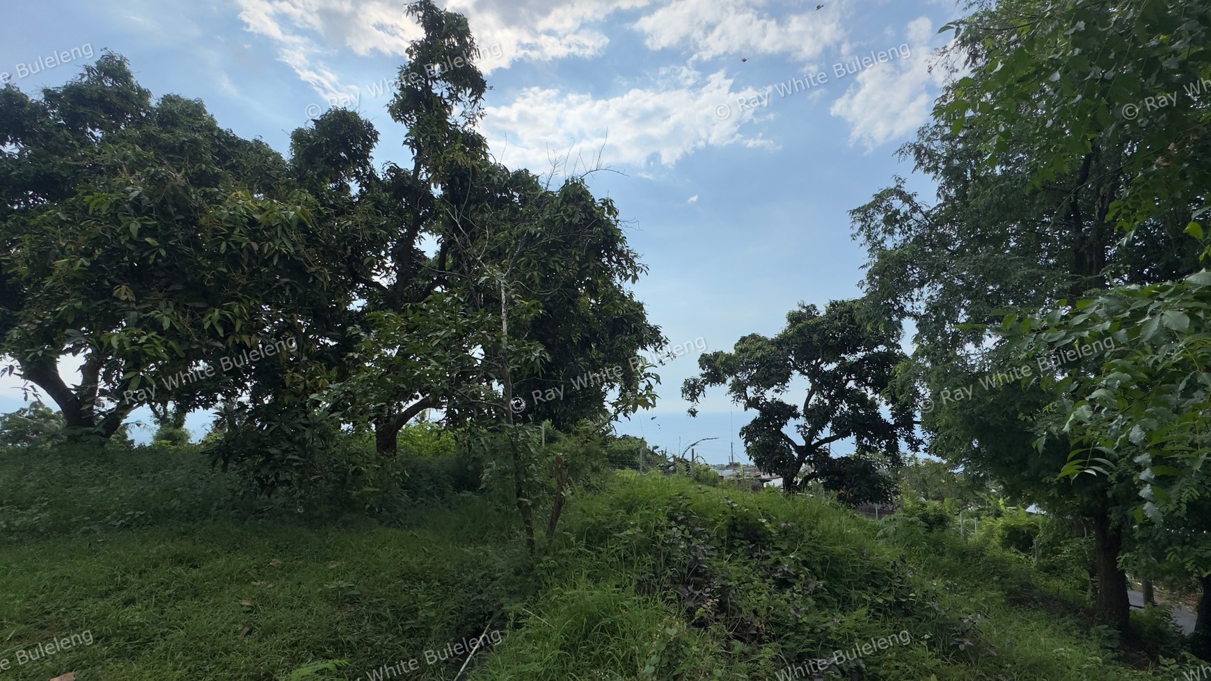 Prime Land for Sale Above Lovina - 1,930 Sqm With Stunning Sea Views