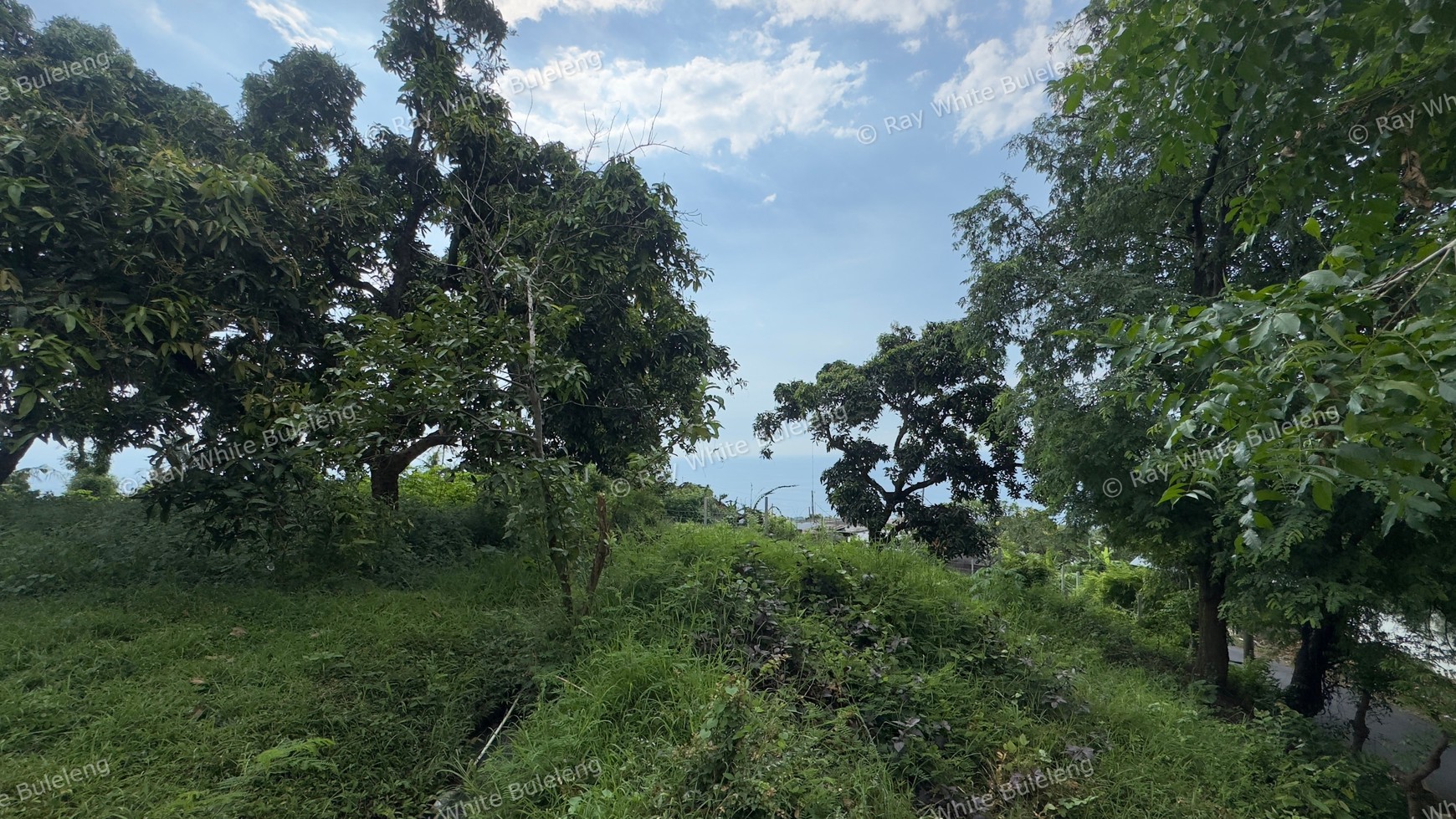 Prime Land for Sale Above Lovina - 1,930 Sqm With Stunning Sea Views