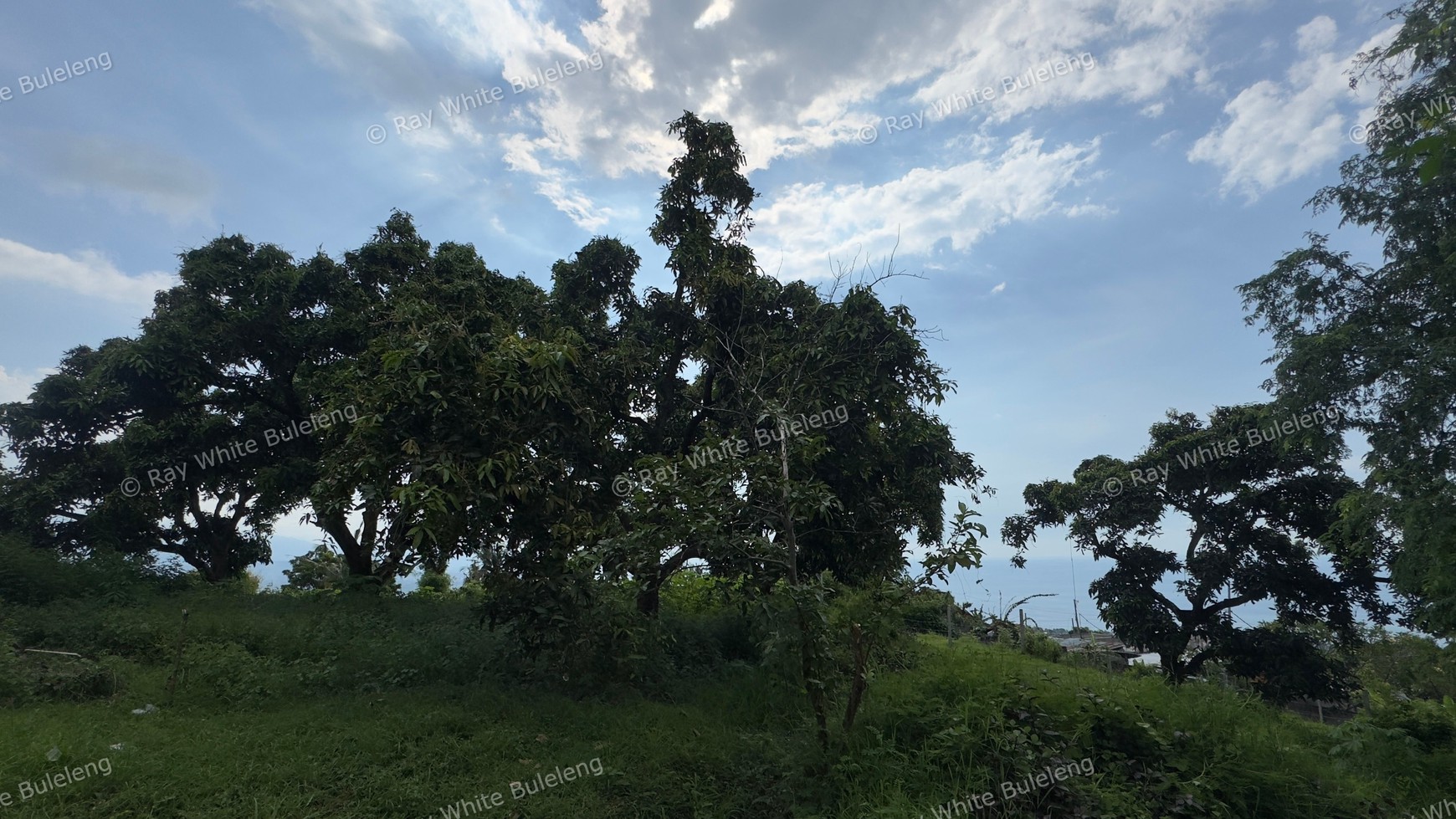 Prime Land for Sale Above Lovina - 1,930 Sqm With Stunning Sea Views