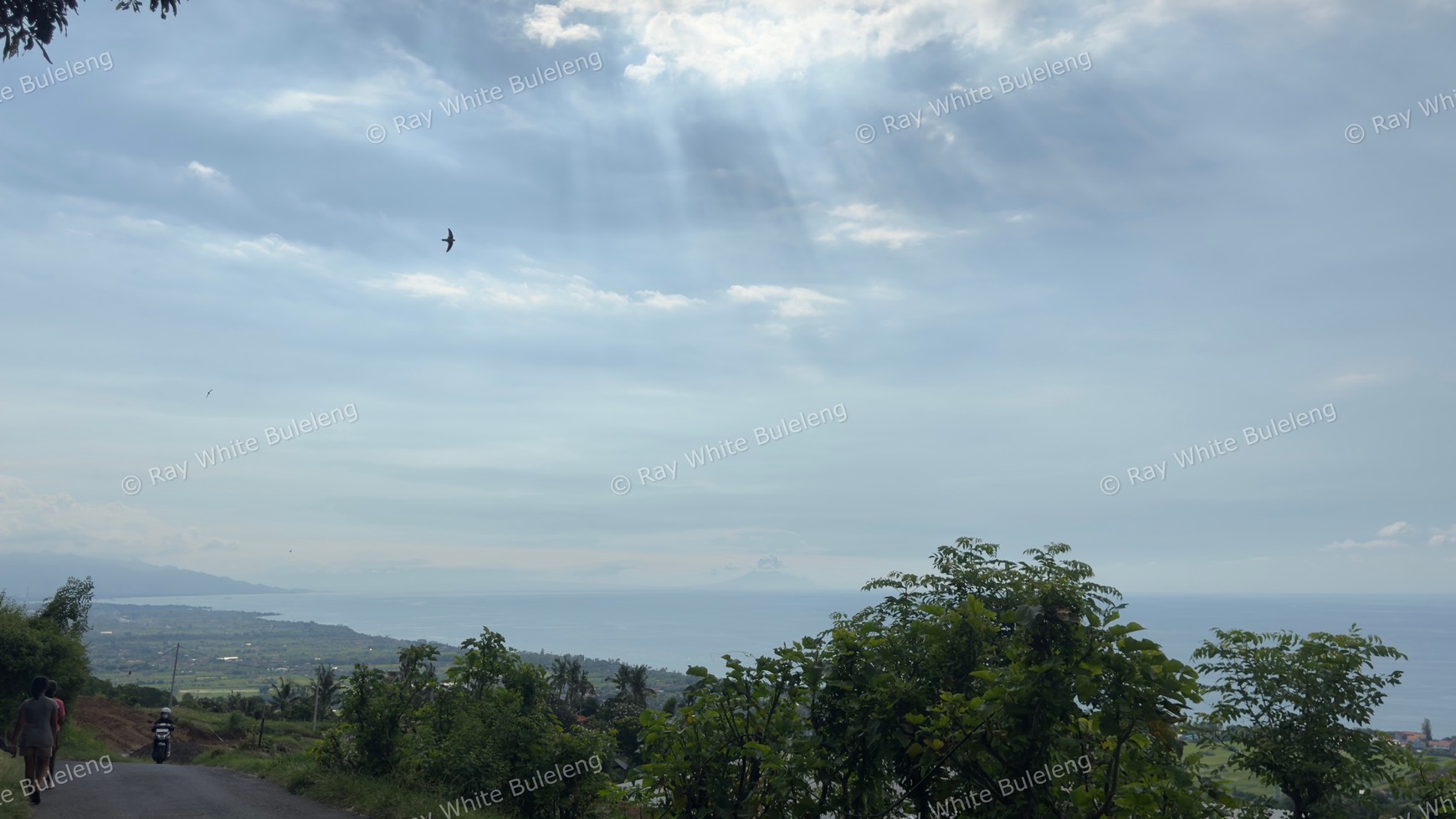 Prime Land for Sale Above Lovina - 1,930 Sqm With Stunning Sea Views