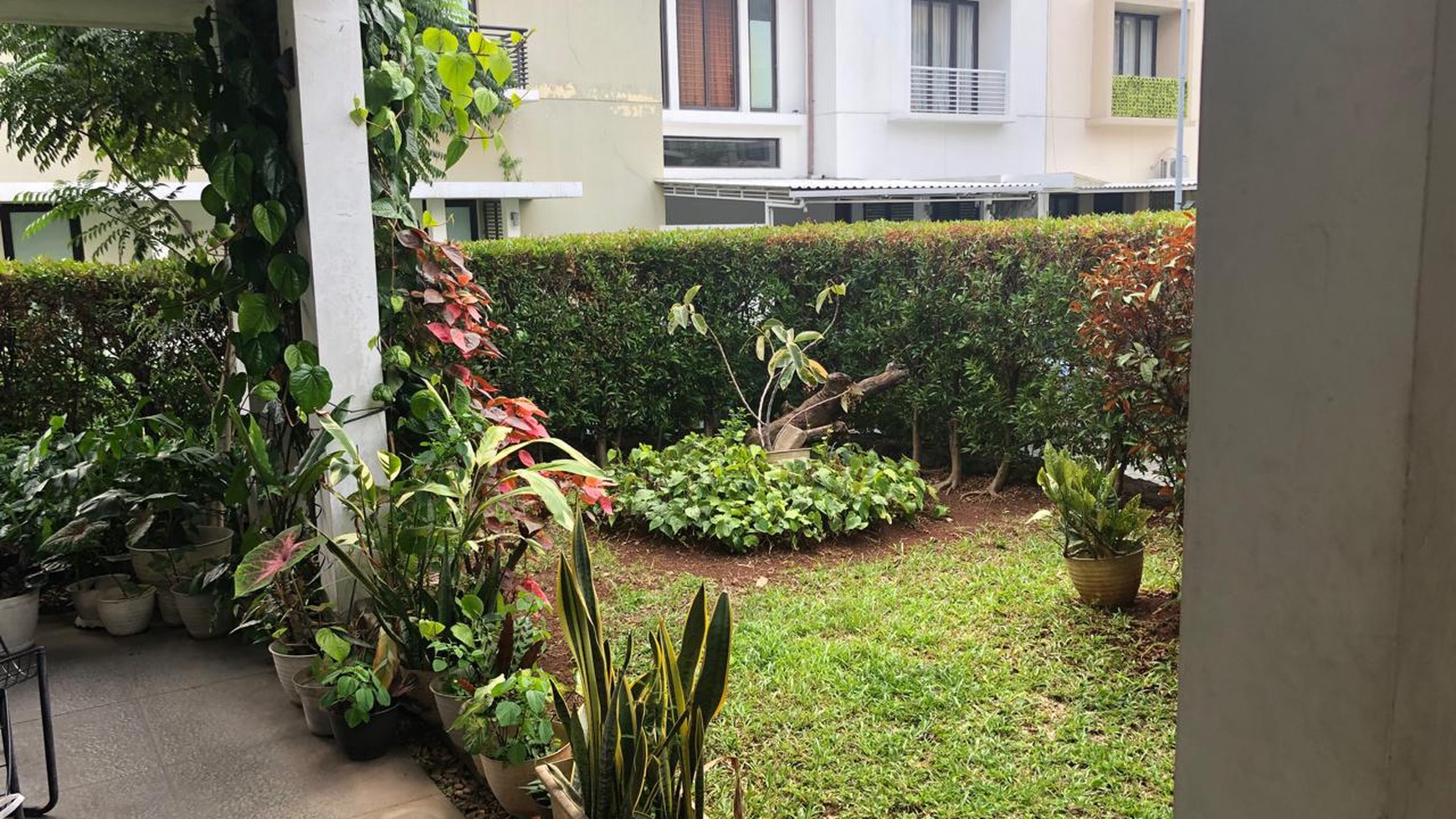 Rumah Eksklusif dengan Akses Kolam Renang di Teras Bintaro! Harga NEGO!