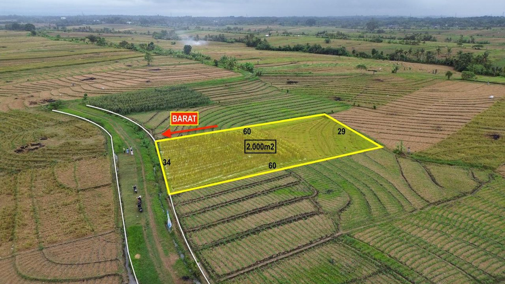 Land Freehold Ricefield View in Selemadeg Tabanan Bali