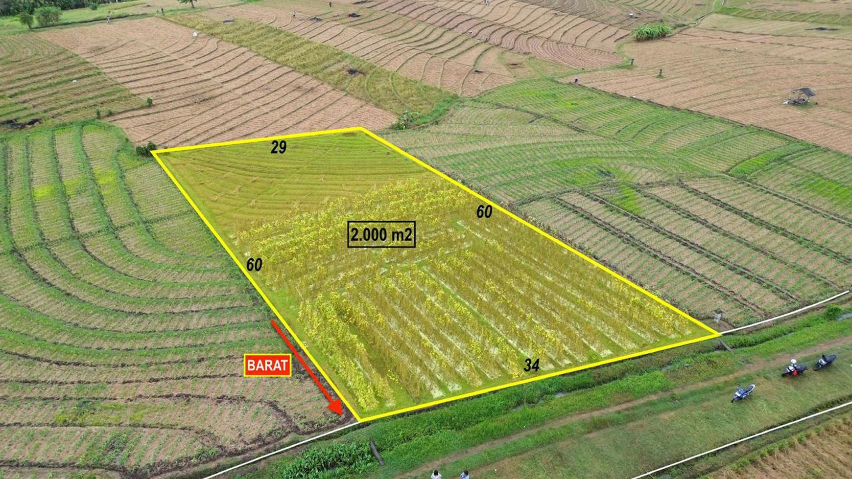 Land Freehold Ricefield View in Selemadeg Tabanan Bali