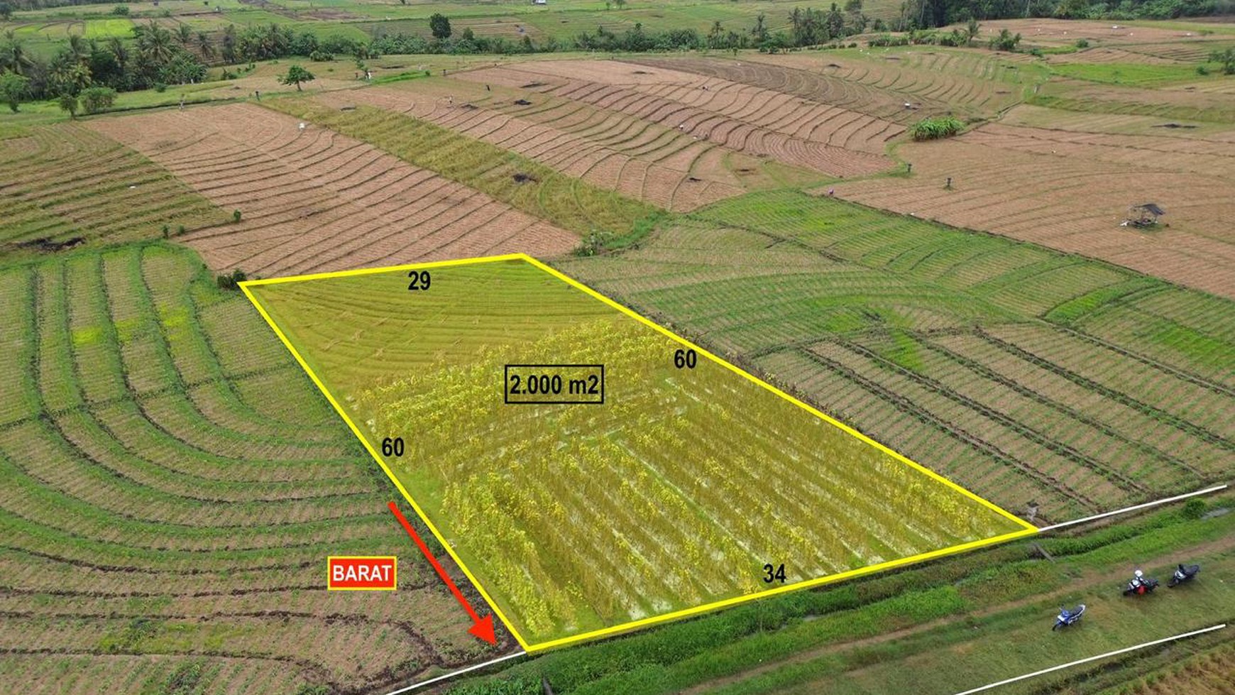 Land Freehold Ricefield View in Selemadeg Tabanan Bali