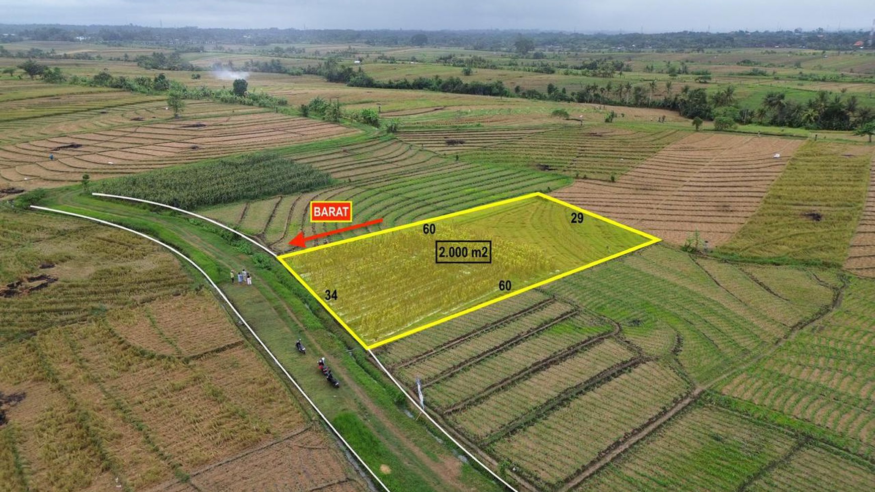 Land Freehold Rice field in Selemadeg Tabanan Bali