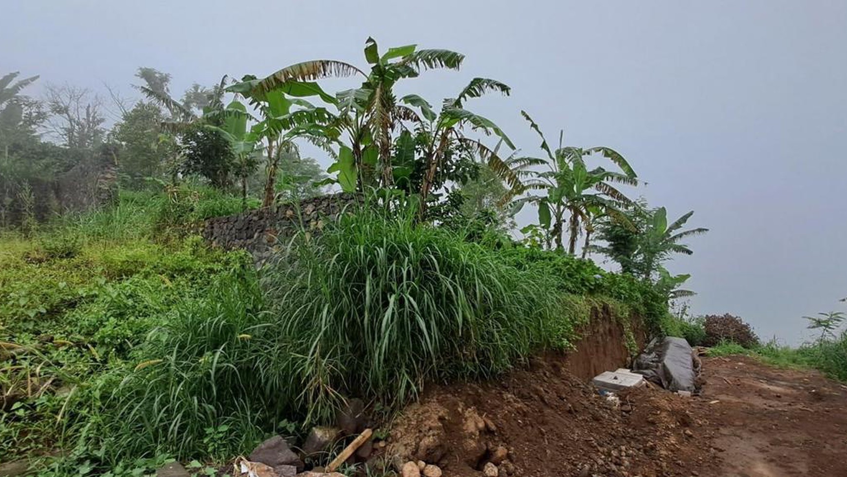 Land Freehold in Wanagiri Bedugul Bali