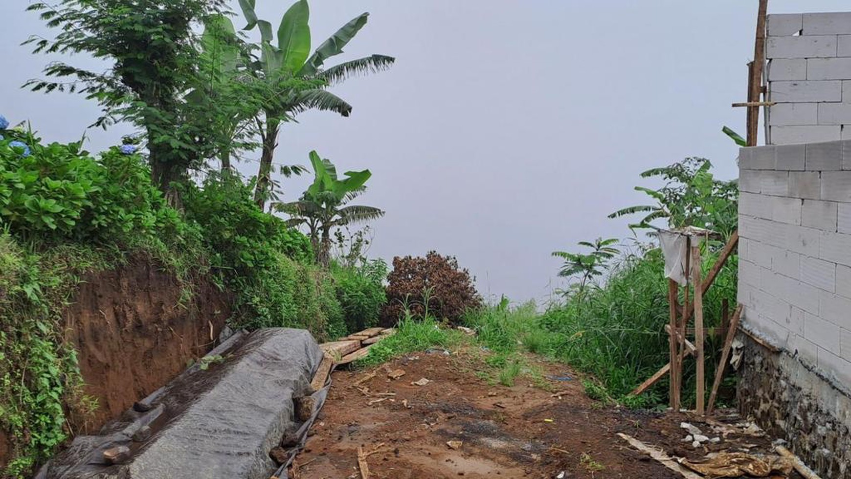 Land Freehold in Wanagiri Bedugul Bali