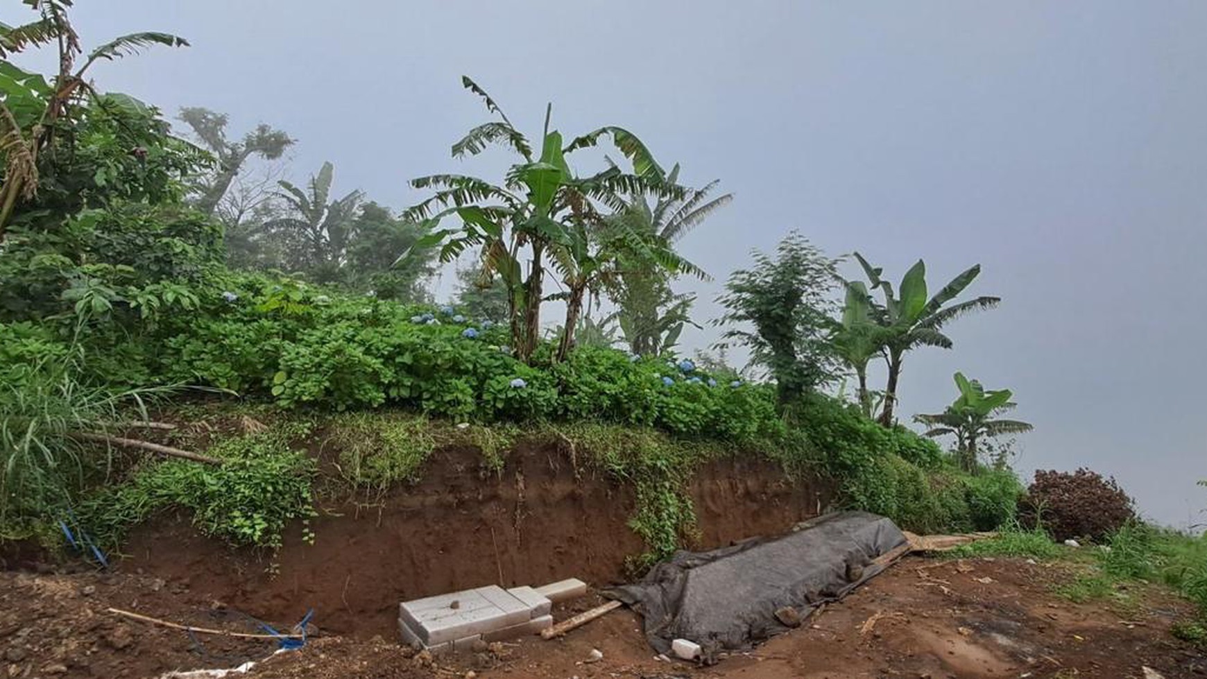 Land Freehold in Wanagiri Bedugul Bali