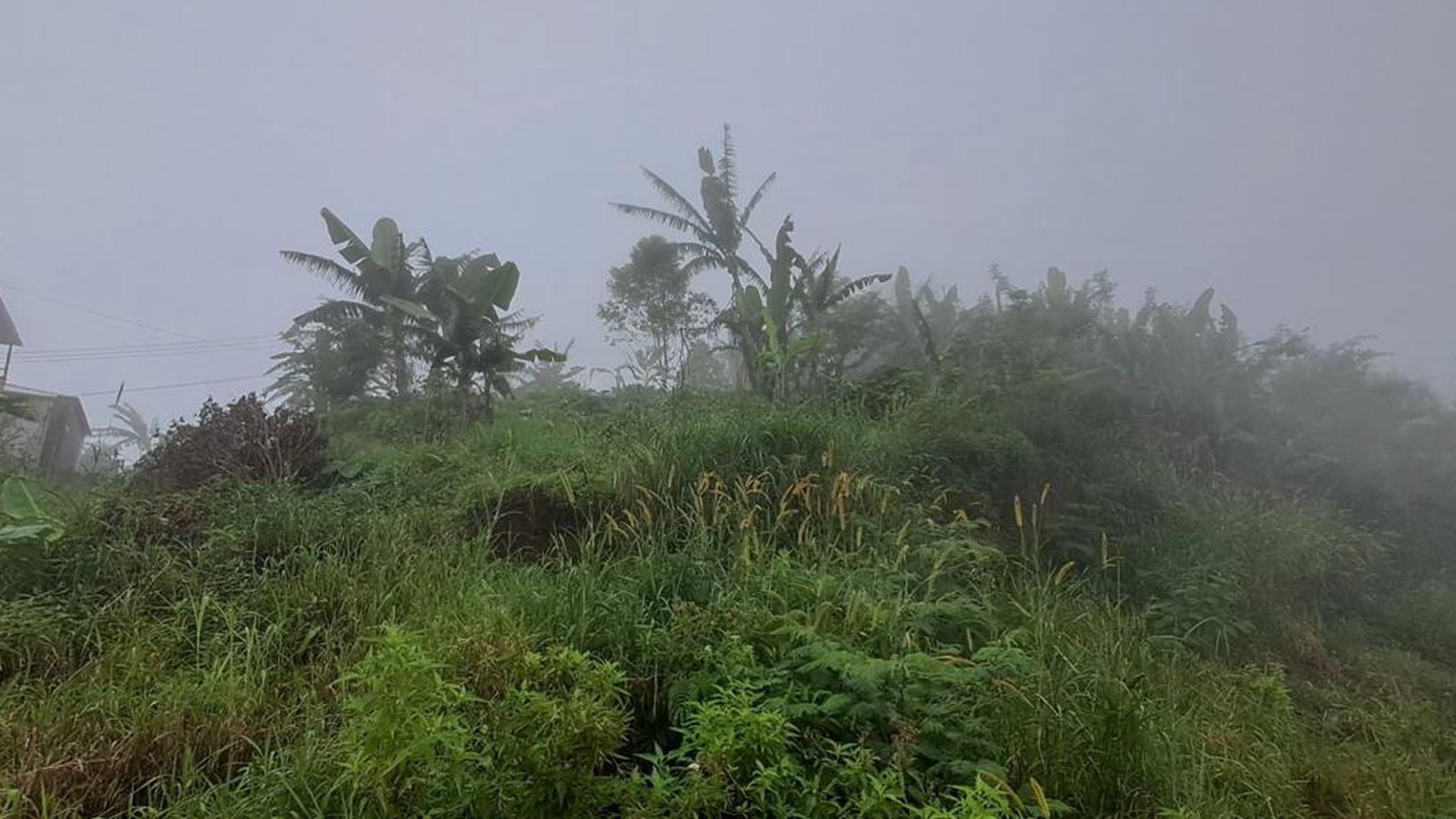Land Freehold in Wanagiri Bedugul Bali