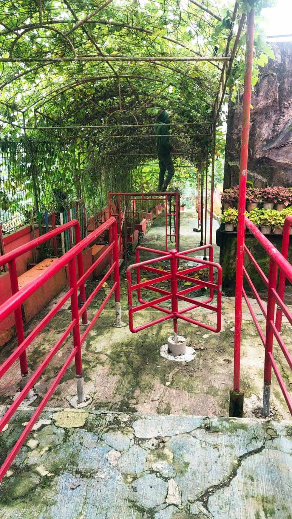 Ruang Usaha / Tempat Wisata Aktif Bagus Lokasi Nongkojajar Pasuruan Lengkap Beserta Perijianan + Staff & Pegawai Berikut Barang - Barangnya - TL -