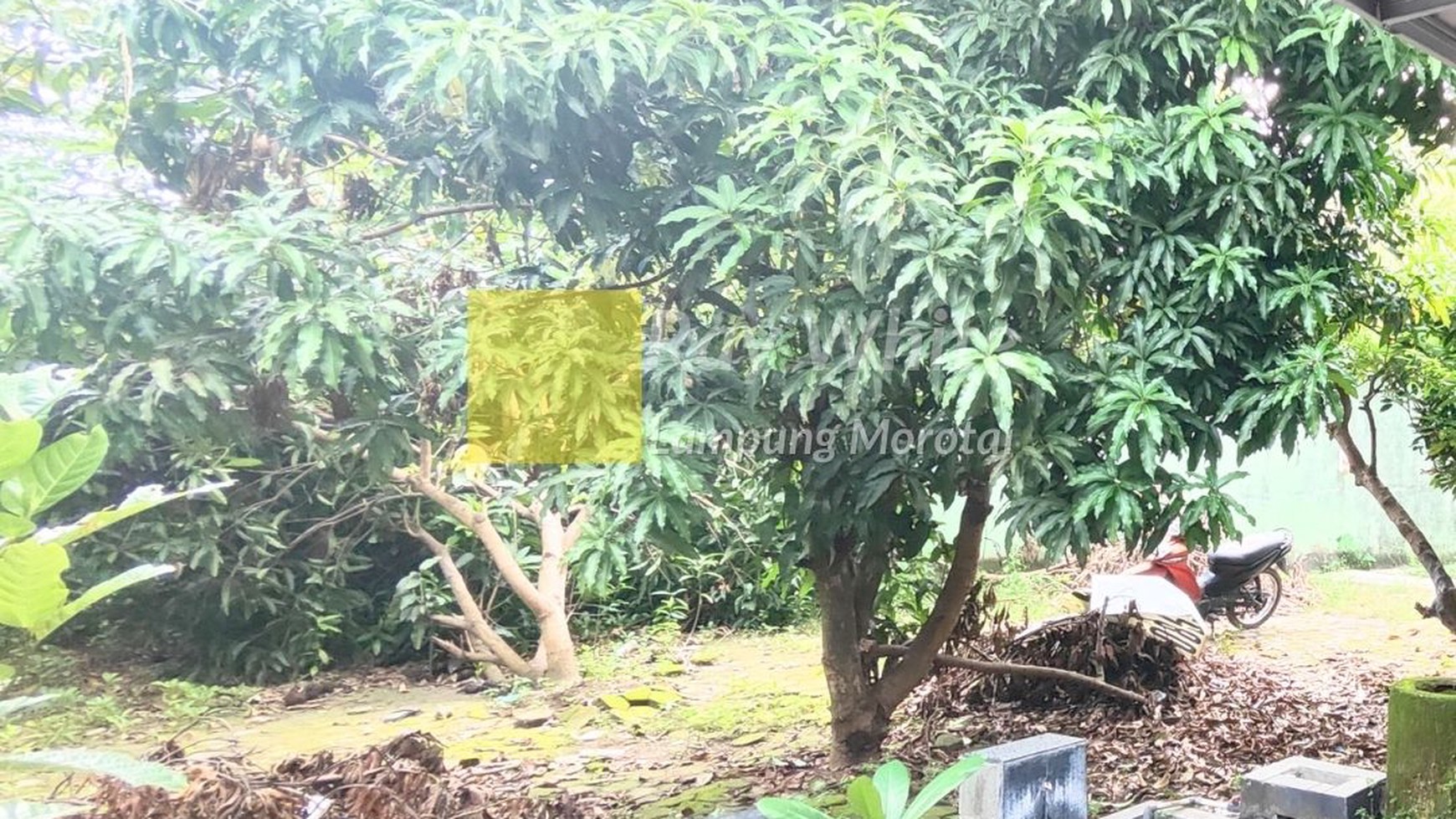Rumah Dekat Mutun
