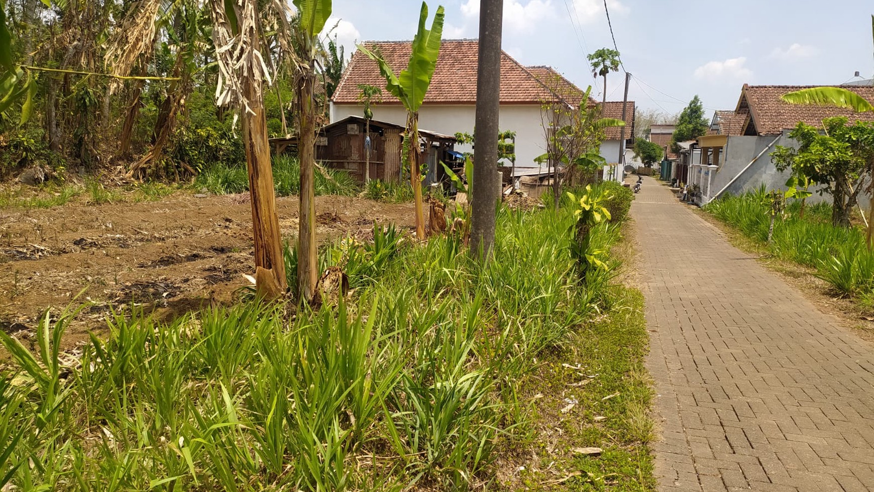 Jual Cepat Tanah SHM Dekat Dengan Agrowisata Kebun Teh Wonosari