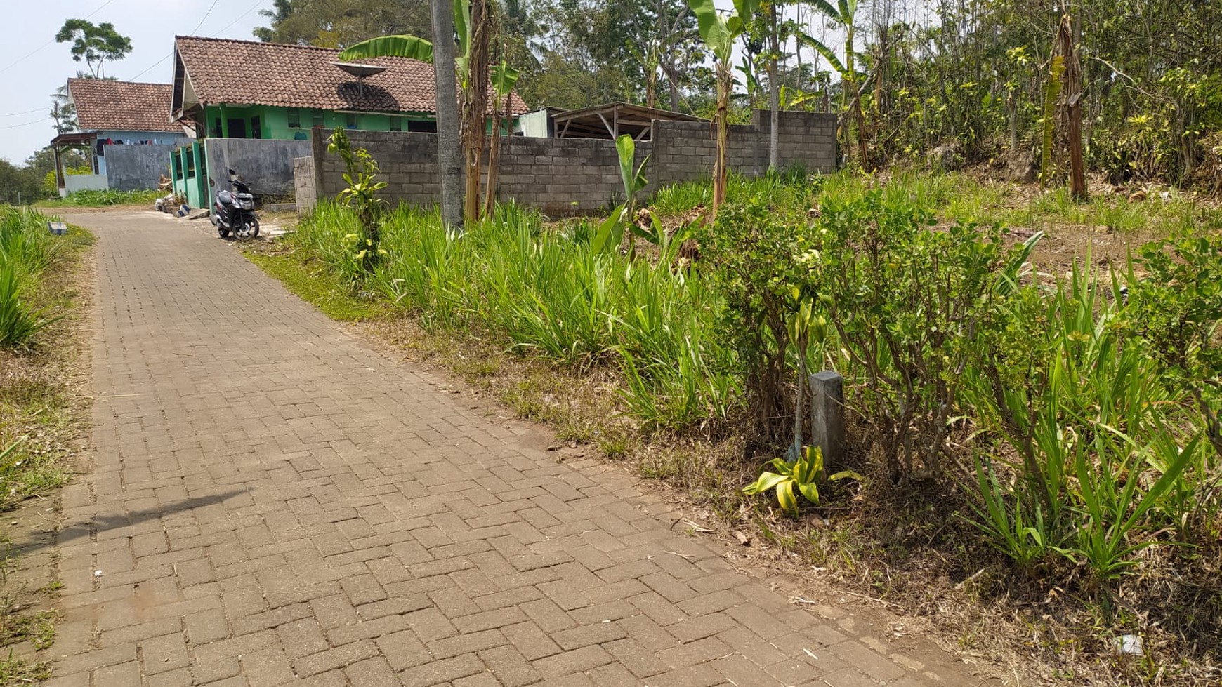 Jual Cepat Tanah SHM Dekat Dengan Agrowisata Kebun Teh Wonosari