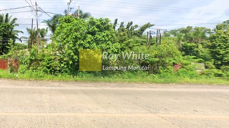 Dijual Tanah Pinggir Jalan Lampung Tengah