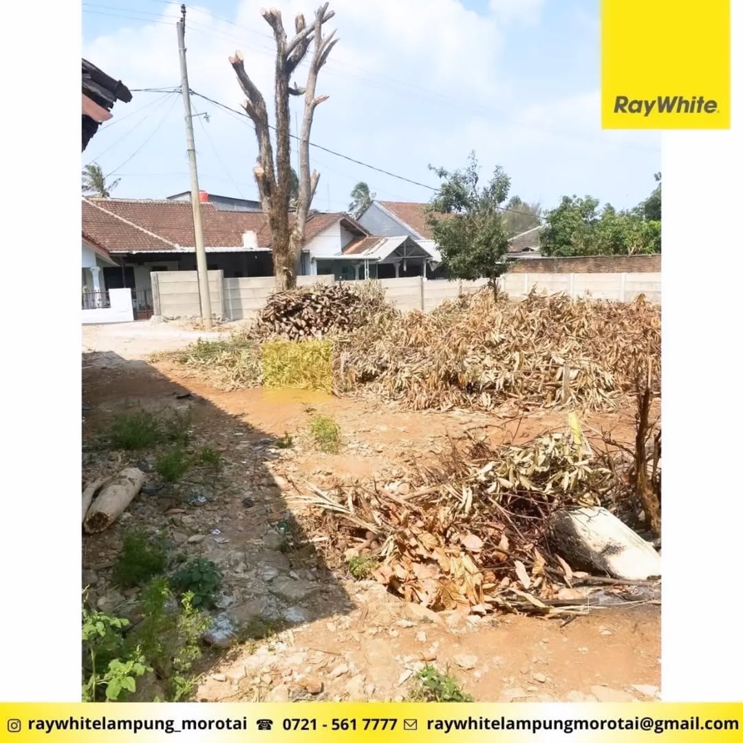 Tanah Kosong Tanjung Karang Barat