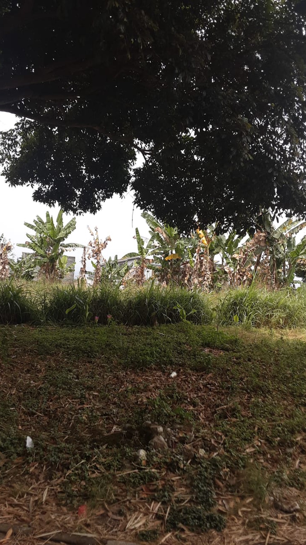 Tanah dijual di Batu