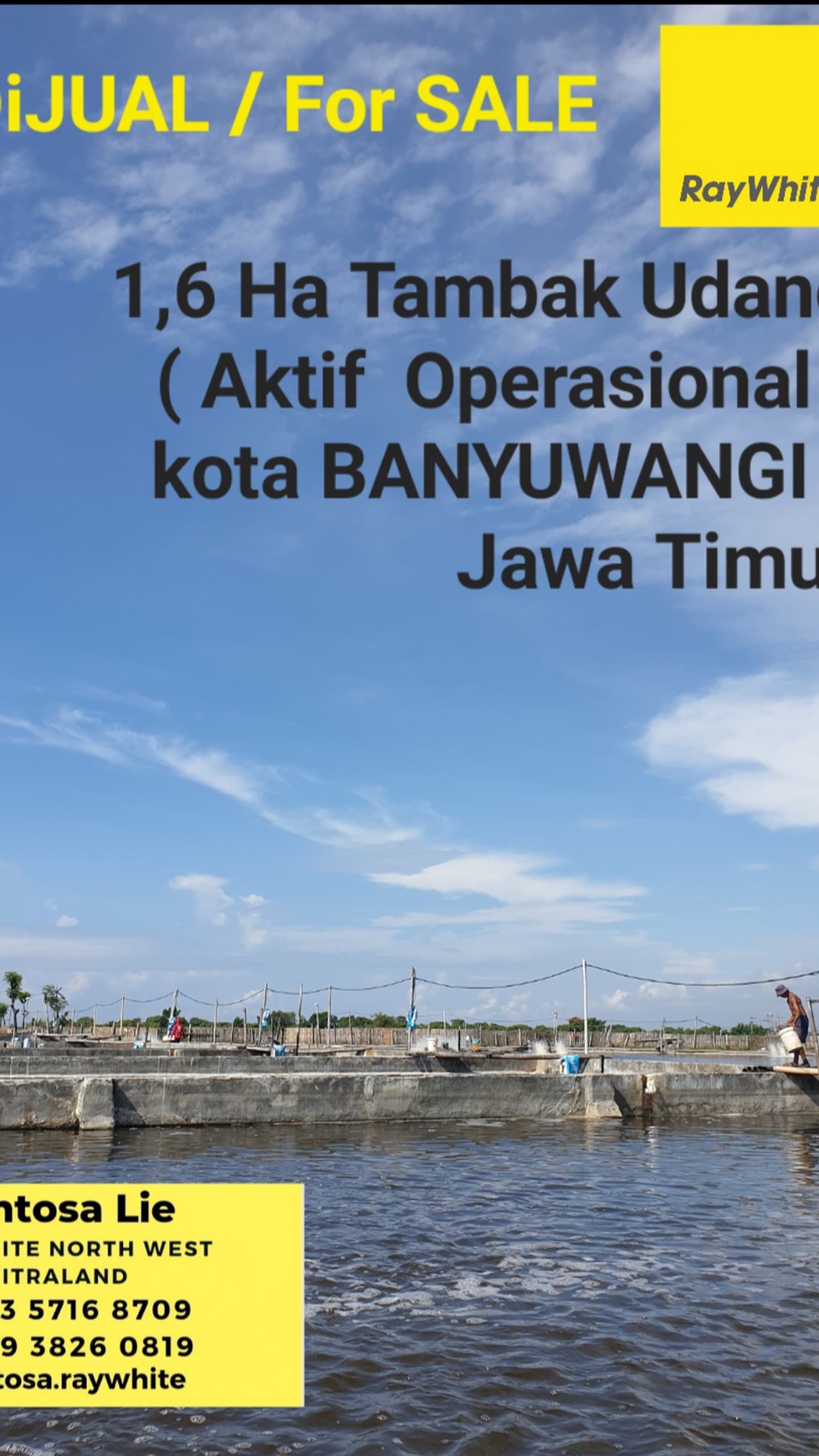 Dijual 1,6 Hektar Tambak Udang Banyuwangi Kota - Kel .kertosari -Usaha Aktif Operasional - Lokasi Bagus View Gunung View Laut