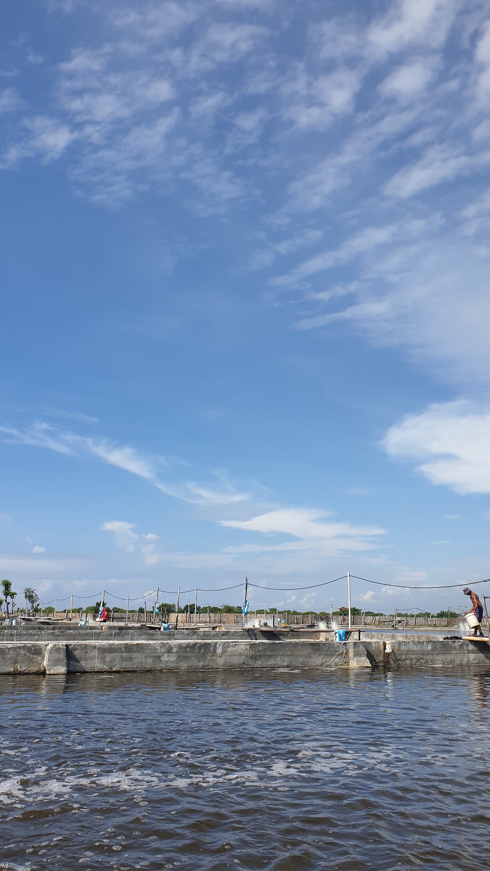 Dijual 1,6 Hektar Tambak Udang Banyuwangi Kota - Kel .kertosari -Usaha Aktif Operasional - Lokasi Bagus View Gunung View Laut