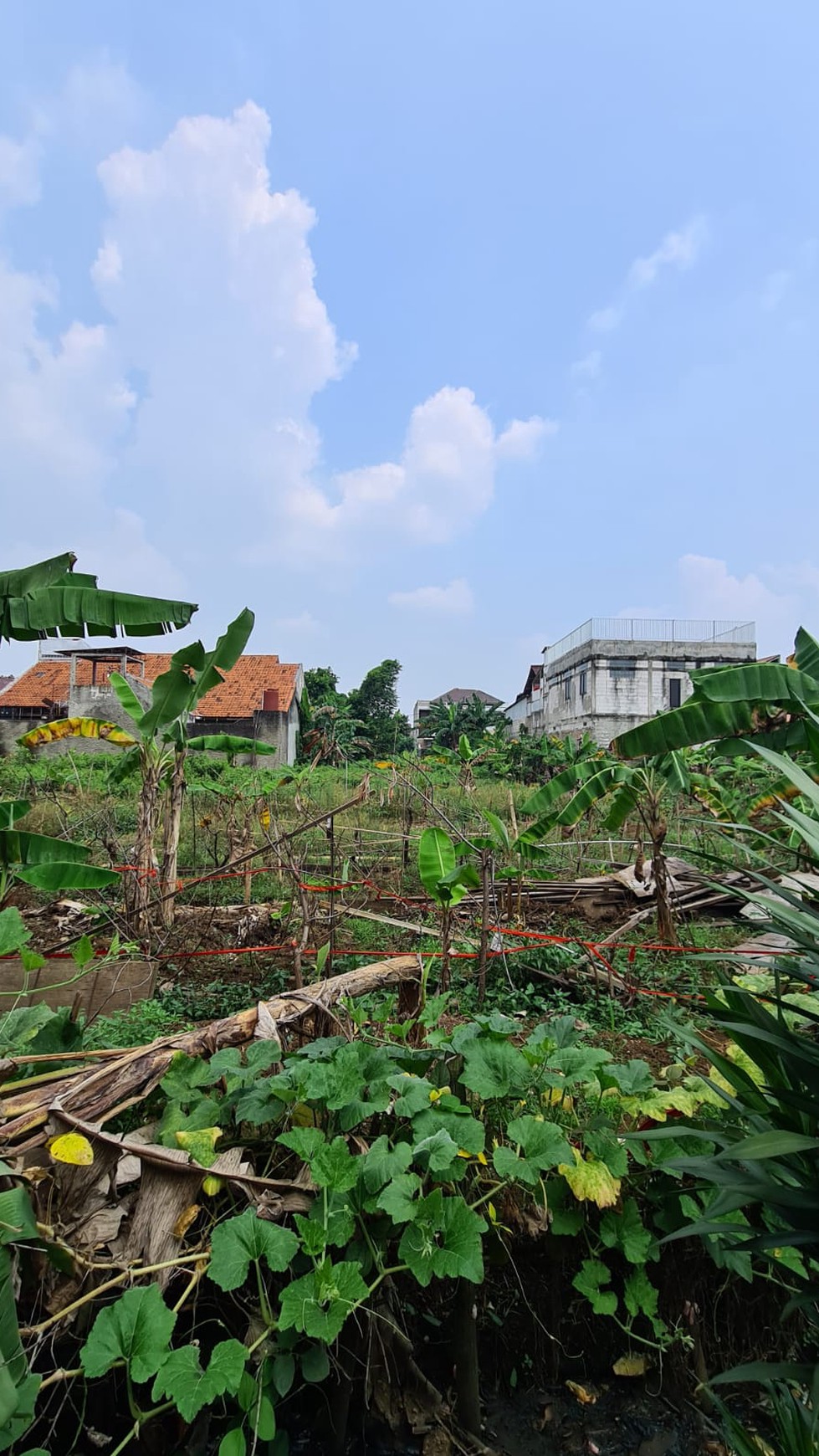 Tanah 510 m2 di Tanah Baru Cocok Hunian atau Investasi Akses Mudah ke Tol dan Harga Tejangkau