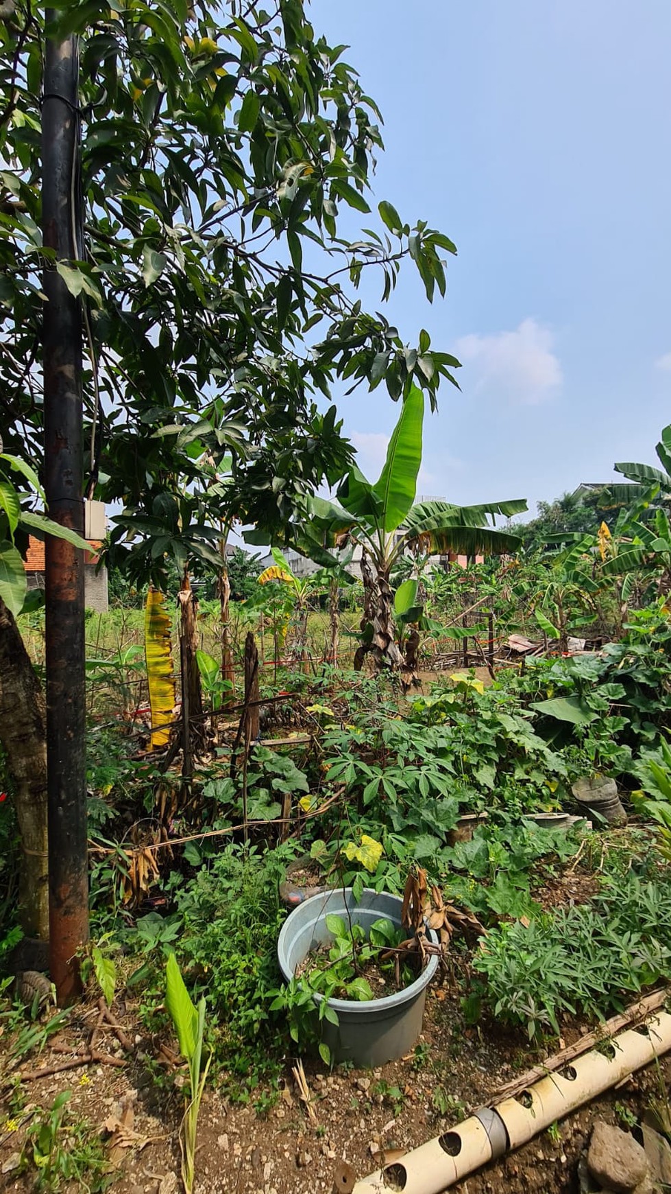 Tanah 510 m2 di Tanah Baru Cocok Hunian atau Investasi Akses Mudah ke Tol dan Harga Tejangkau