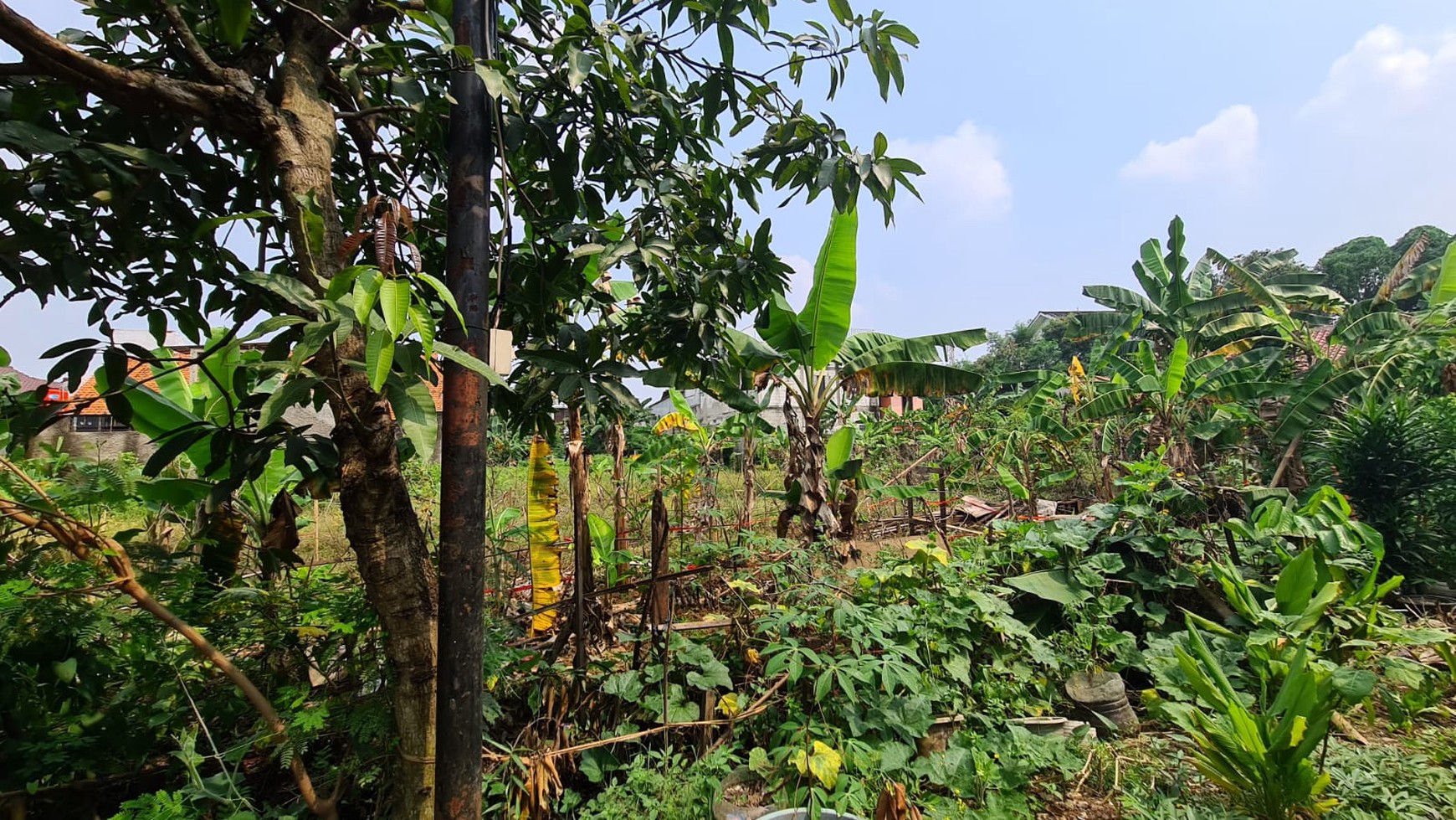 Tanah 510 m2 di Tanah Baru Cocok Hunian atau Investasi Akses Mudah ke Tol dan Harga Tejangkau