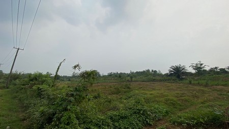 Dijual Kavling Tanah, Luas, Murah Dan Strategis Di Parung Panjang.