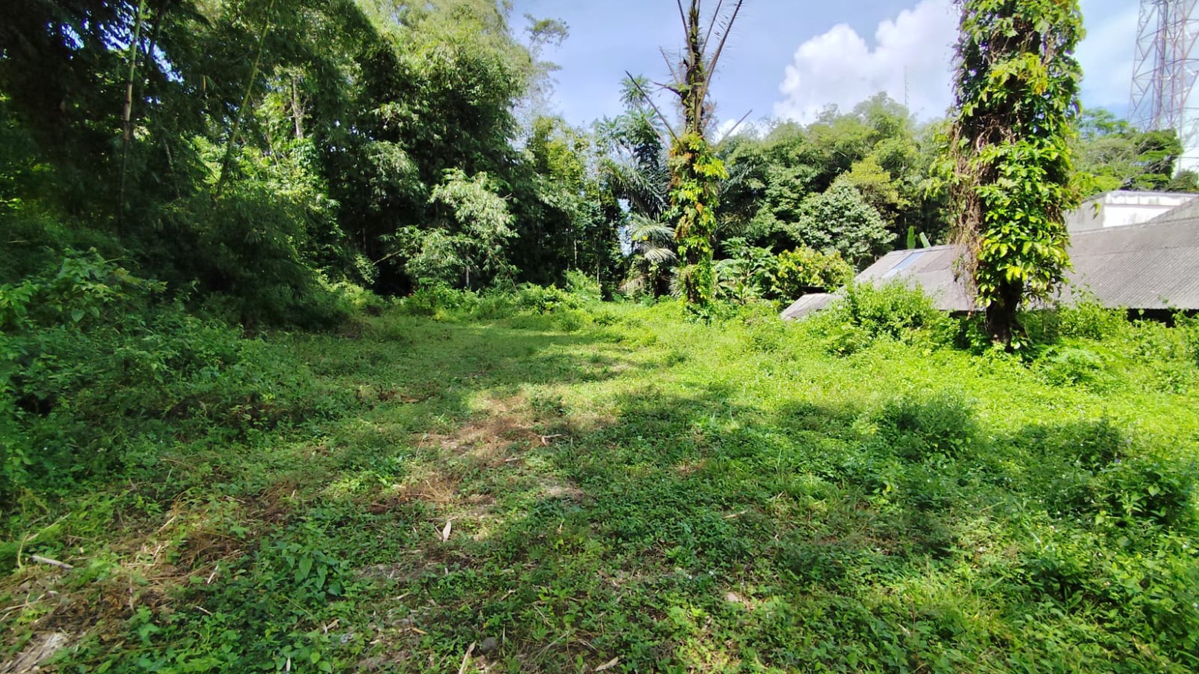 Tanah Pekarangan Luas di dekat Taman Wisata Kaliurang