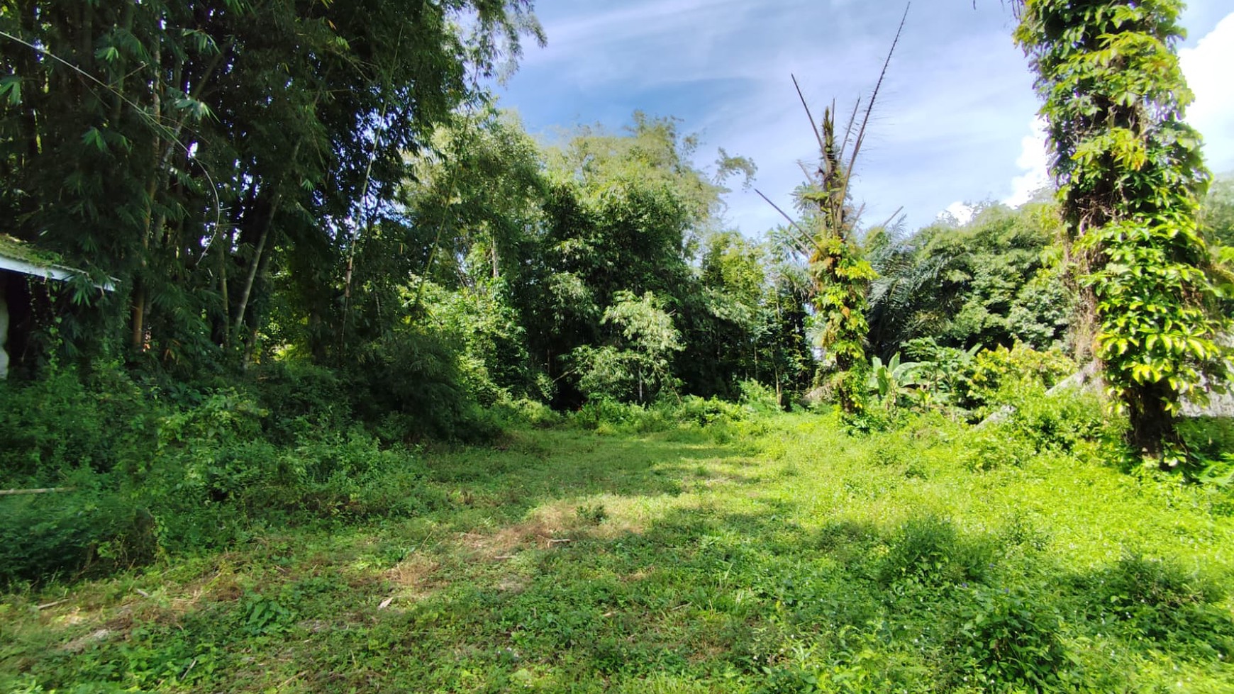 Tanah Pekarangan Luas di dekat Taman Wisata Kaliurang