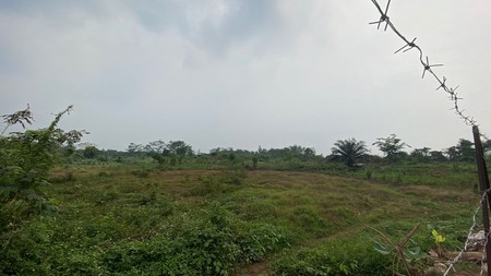 Dijual Kavling Tanah, Luas , Murah Dan Strategis Di Parung Panjang.