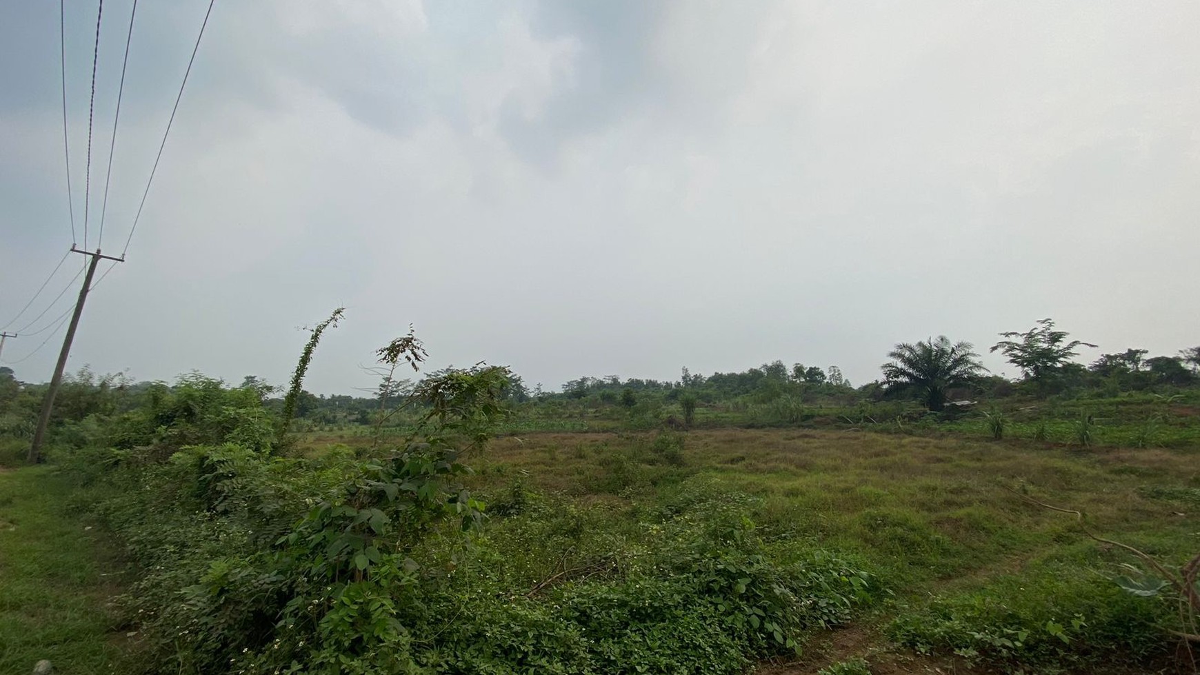 Dijual Kavling Tanah, Luas , Murah Dan Strategis Di Parung Panjang.