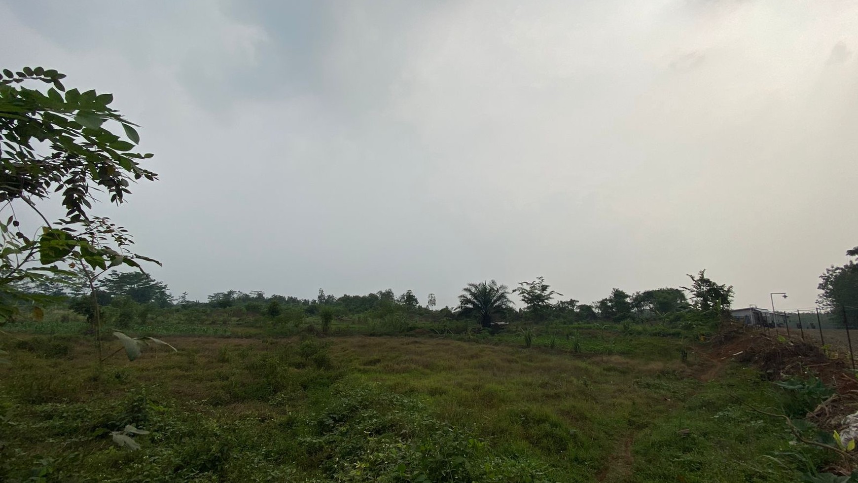 Dijual Kavling Tanah, Luas , Murah Dan Strategis Di Parung Panjang.