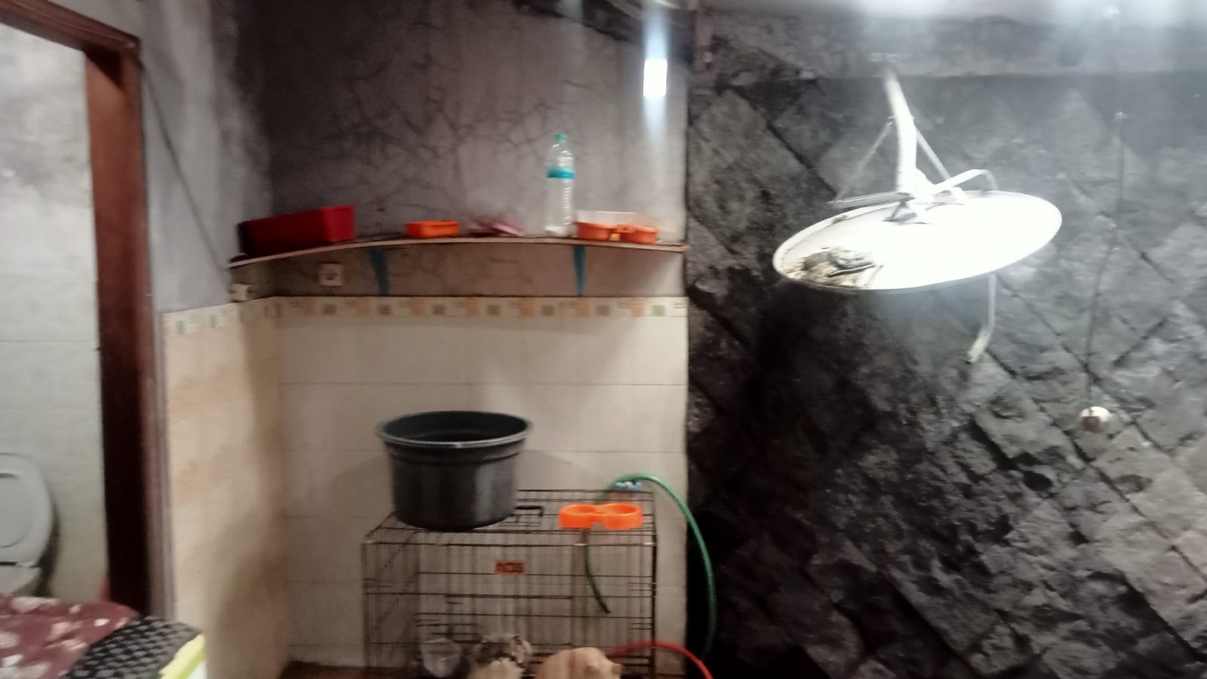 Disewakan Rumah Tinggal Lokasi Daerah Sumberadi Mlati Sleman 