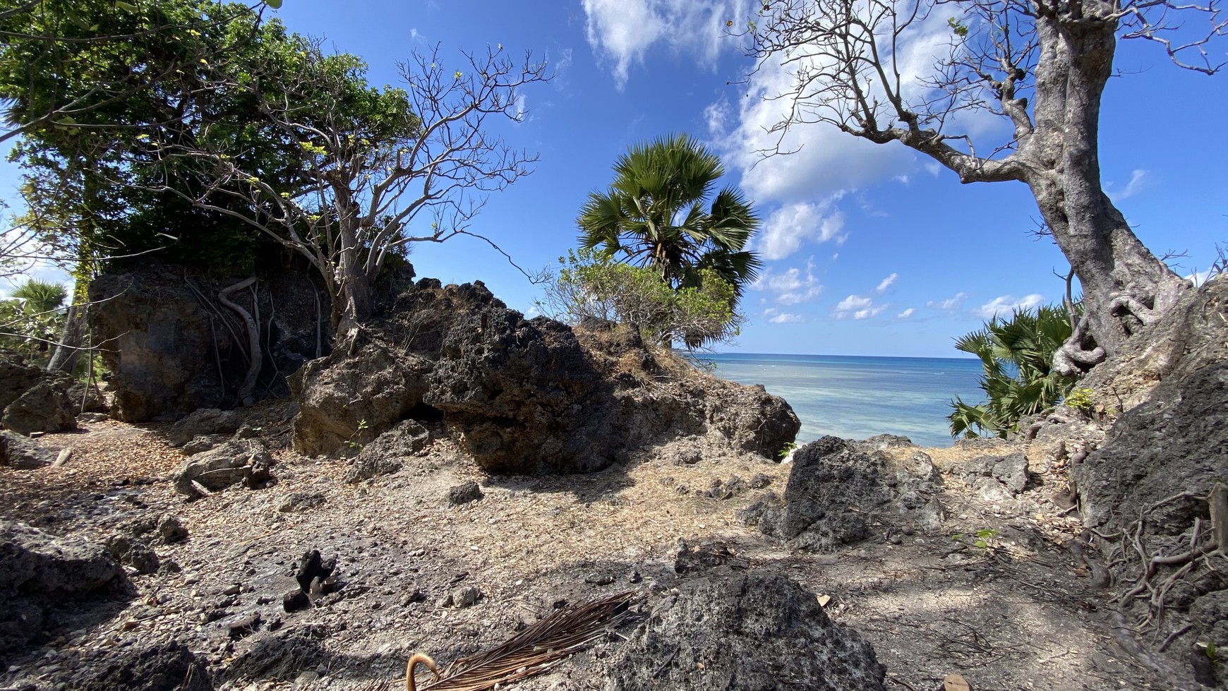 Land Freehold Beachfront in Rote Island