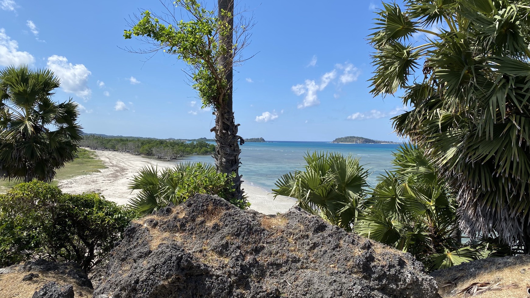 Land Freehold Beachfront in Rote Island