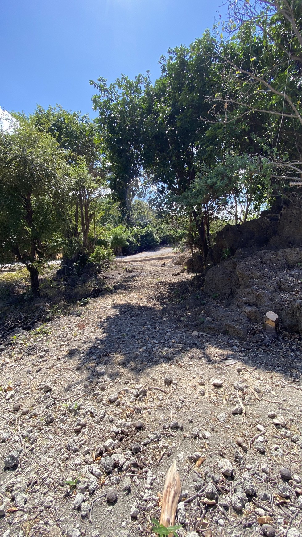 Land Freehold Beachfront in Rote Island