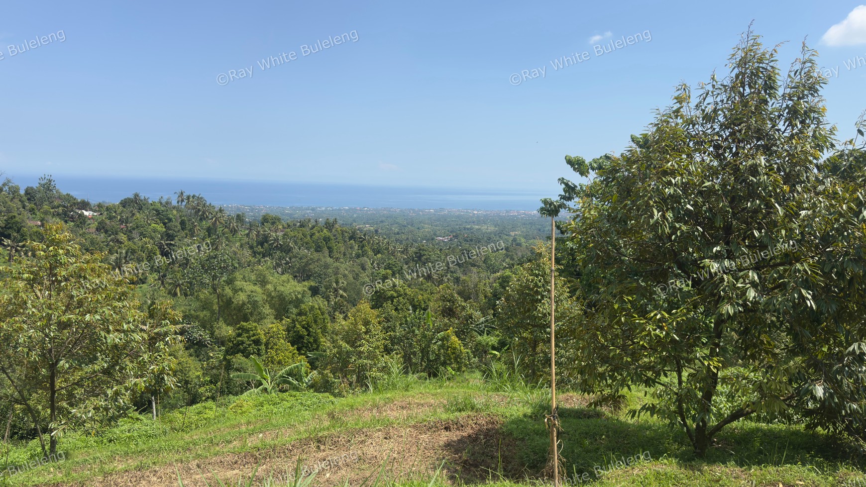 Stunning Hills Land with Ocean Views for Sale