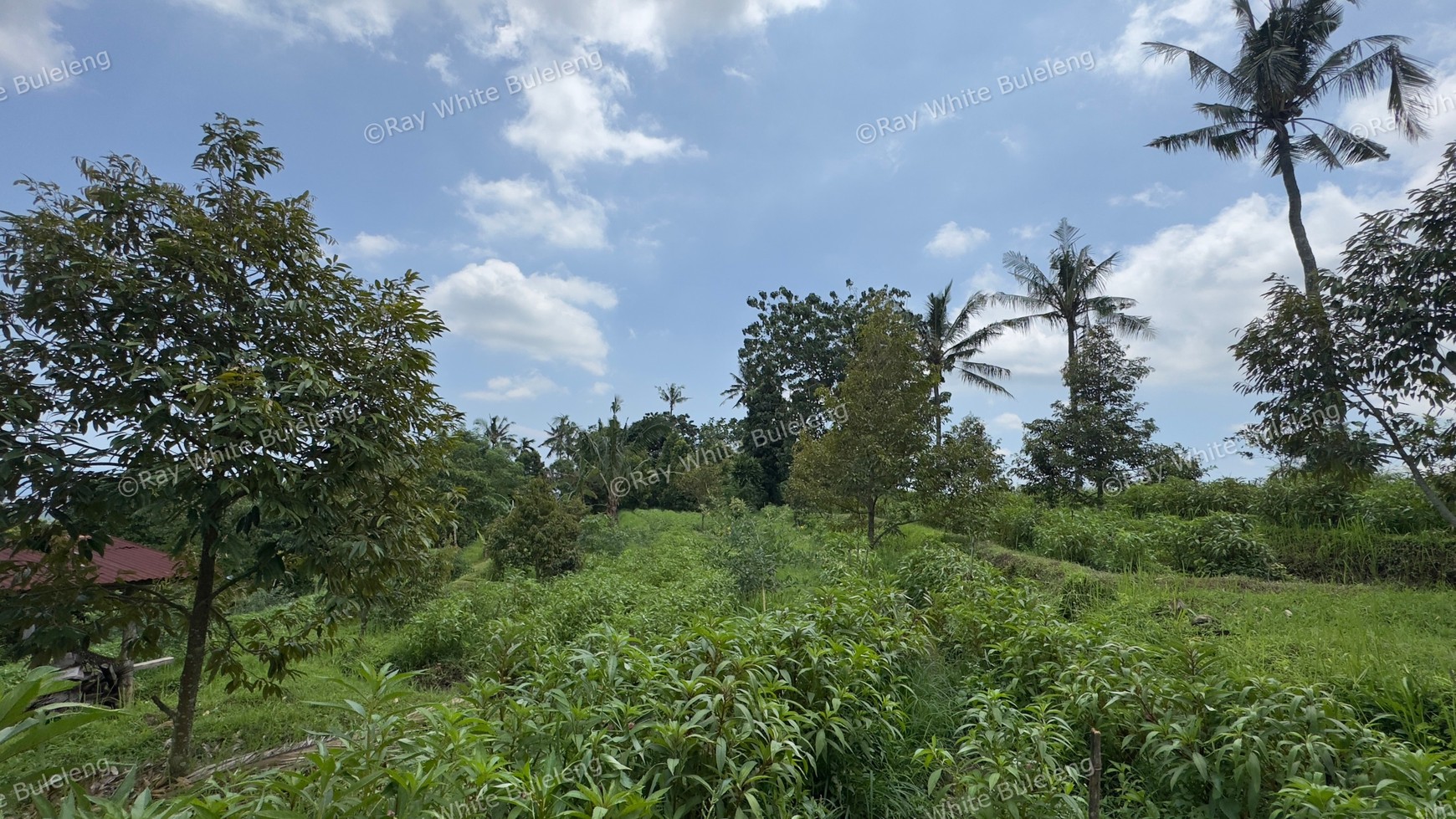 Stunning Hills Land with Ocean Views for Sale