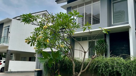 Rumah Siap Huni dengan Hunian Nyaman dan Asri di Bintaro Sektor 7