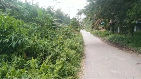 DIJUAL TANAH KEBON DI KALIMANTAN BARAT