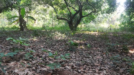 Dijual Tanah Siap Bangun di Purwakarta