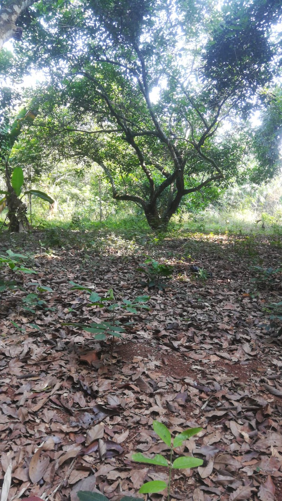Dijual Tanah Siap Bangun di Purwakarta