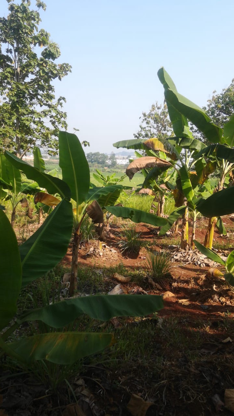 Dijual Tanah Strategis di Purwakarta