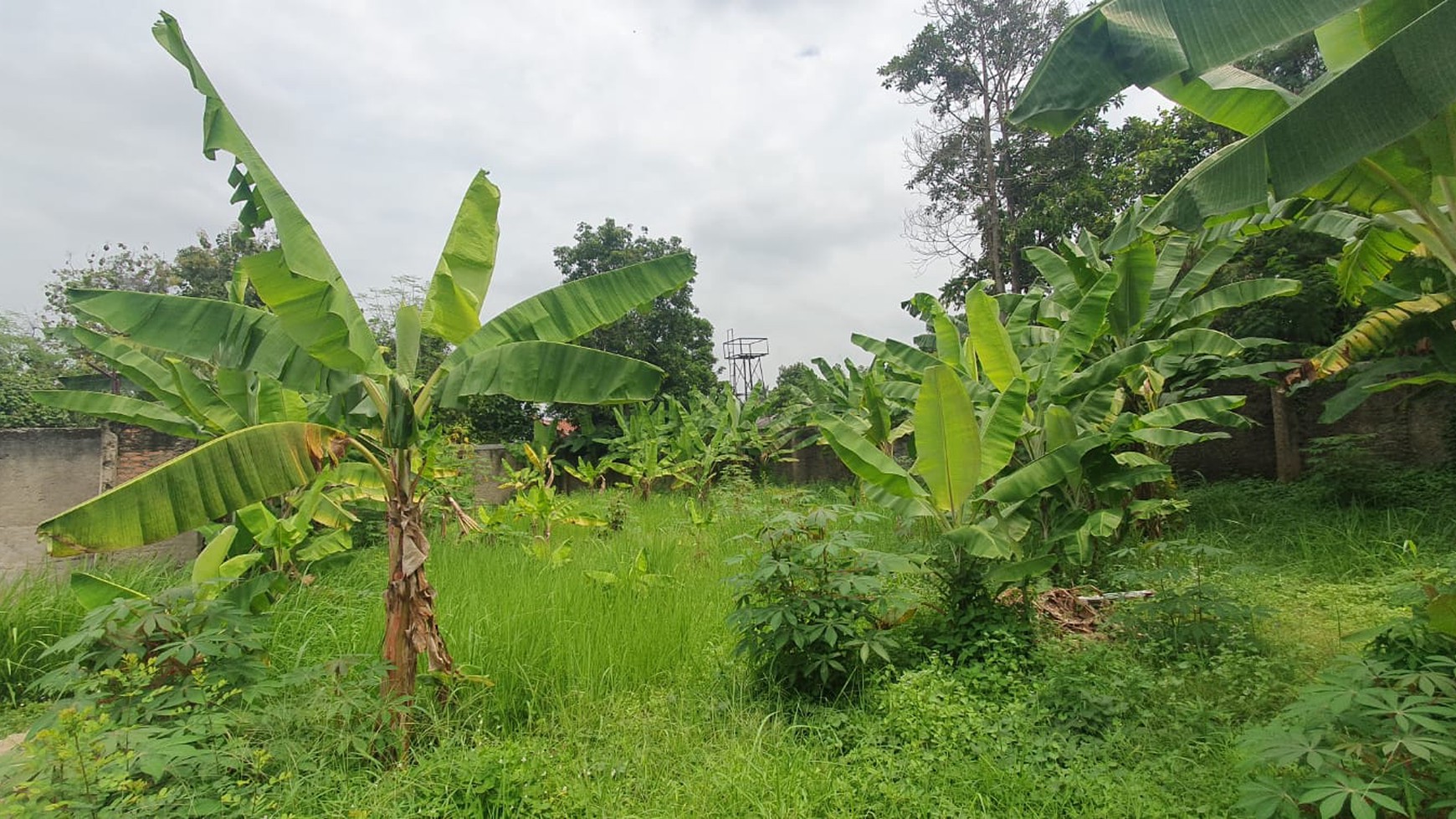 Rumah Bagus Di Kasturi Bintaro Jaya Sektor 9