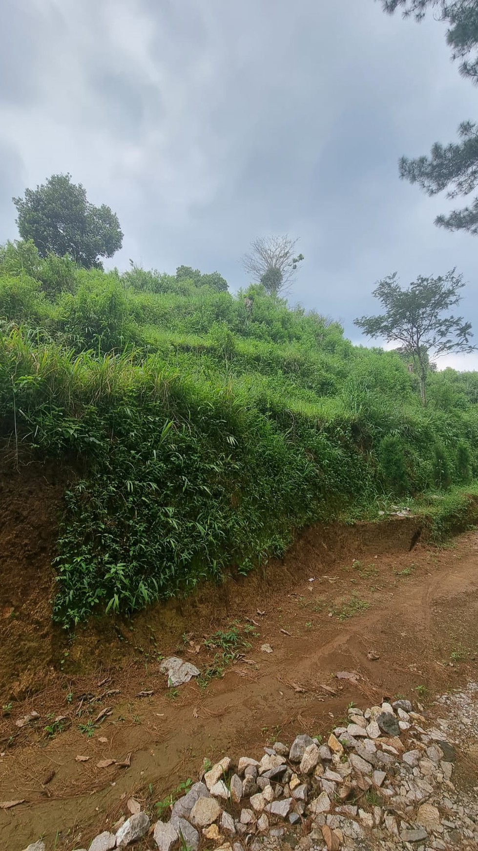 Dijual Tanah di Caringin, Bogor