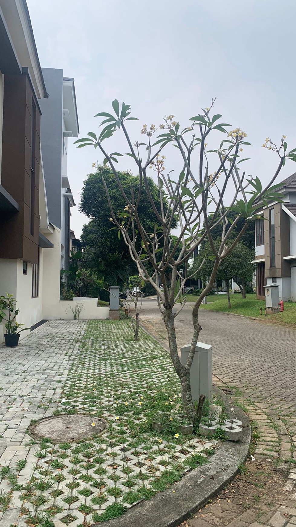Rumah Bagus Di Fortune Belleza Graha Raya Bintaro Jaya