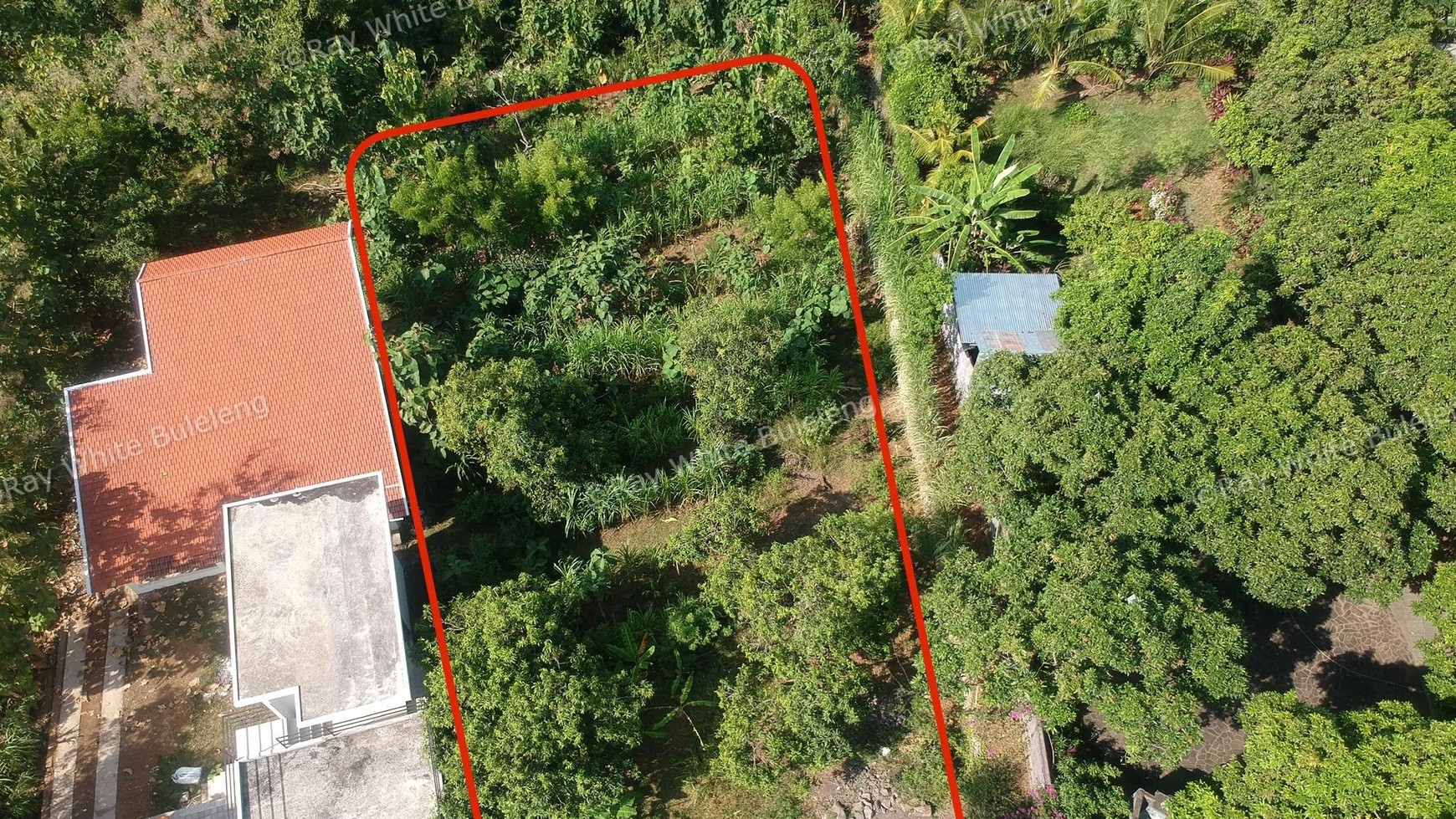 Prime Land with Lush Green Scenery Near Lovina Central For Sale