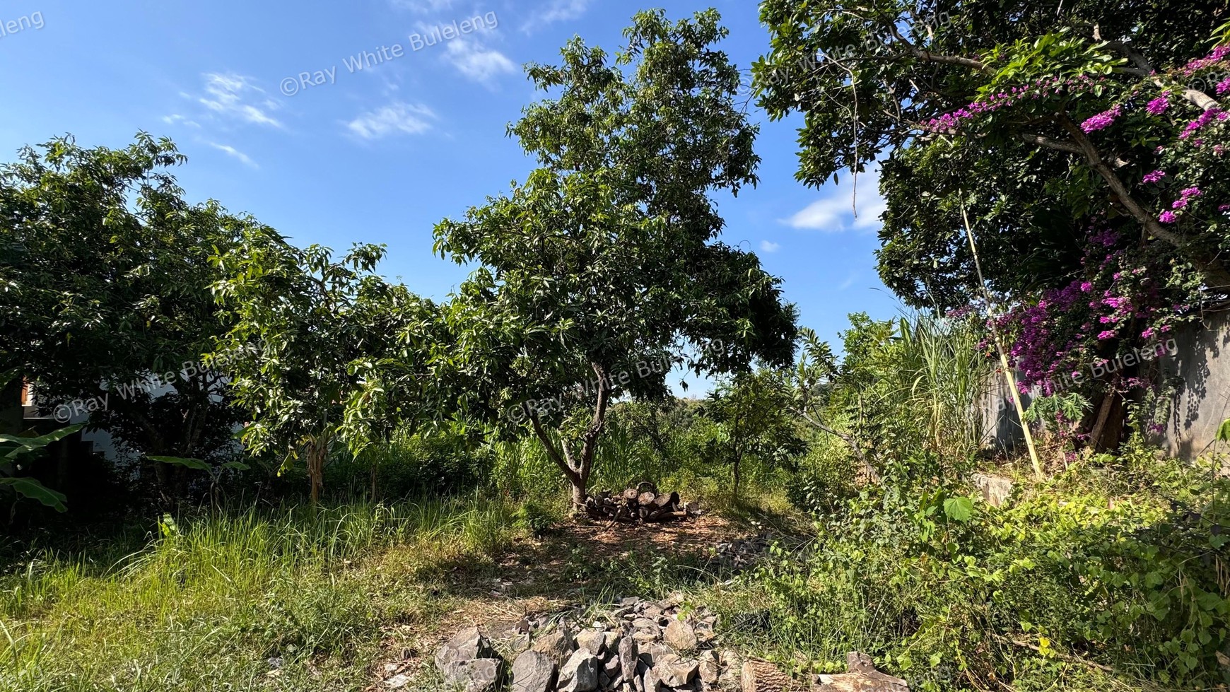 Prime Land with Lush Green Scenery Near Lovina Central For Sale