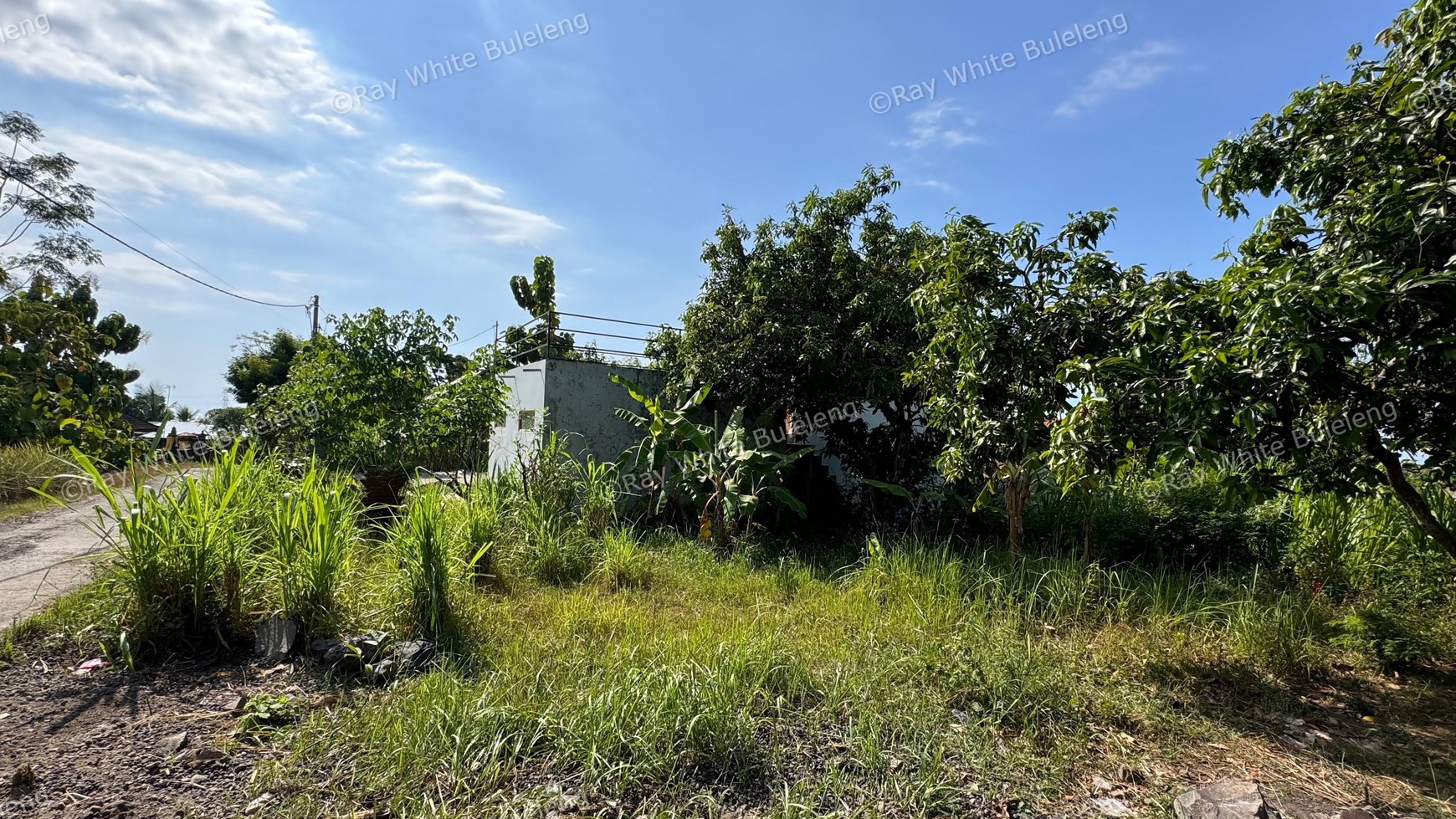 Prime Land with Lush Green Scenery Near Lovina Central For Sale