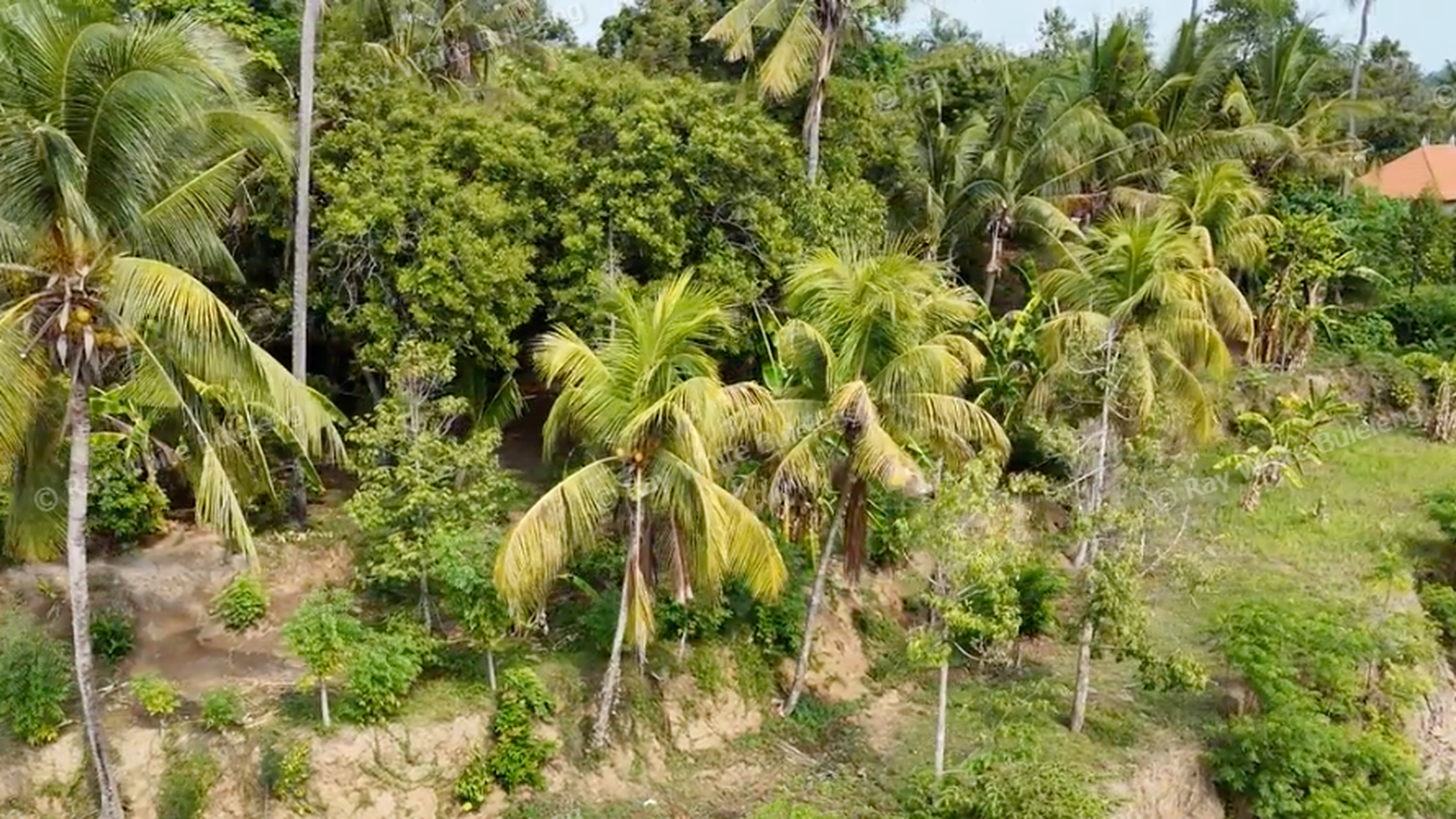Perfect Land for Sale: Ideal for Housing Complex Development