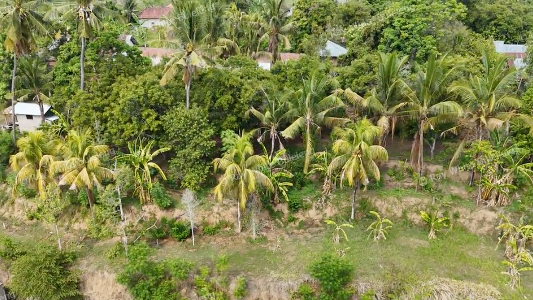Perfect Land for Sale: Ideal for Housing Complex Development